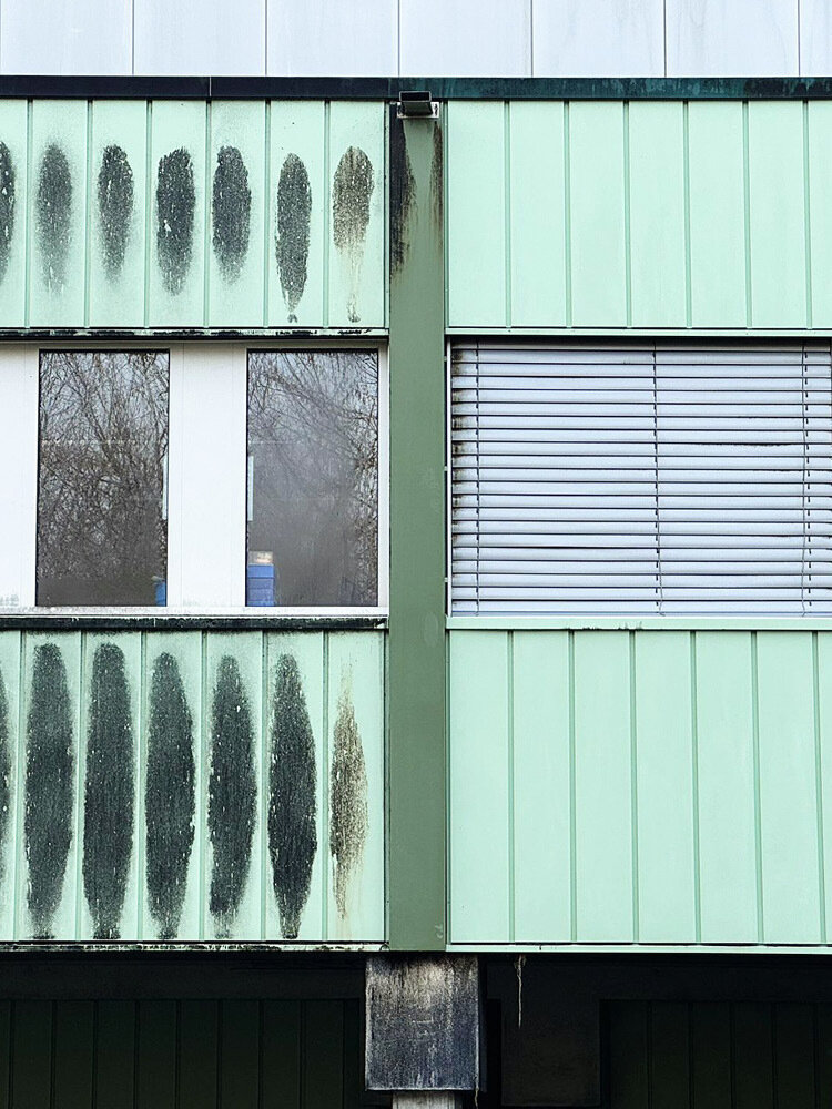 DTC Fassadenreinigung Impressionen 06